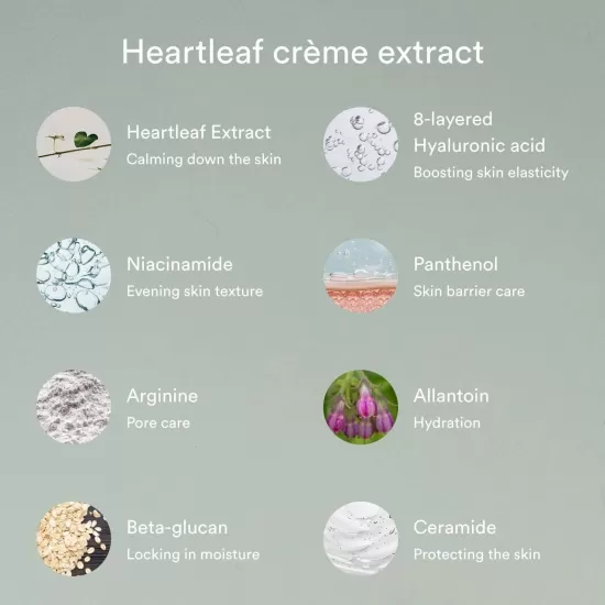 Abib Heartleaf Creme Calming Tube 75ml