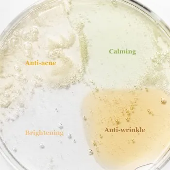 Beauty of Joseon Hanbang Serum Discovery Kit