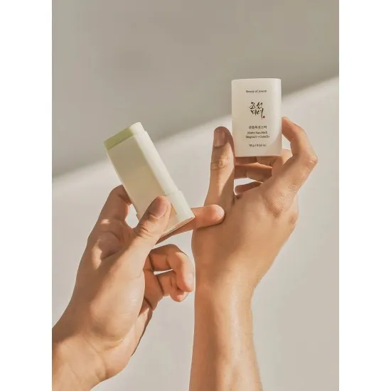 Beauty of Joseon Matte Sun Stick Mugwort + Camelia SPF50+